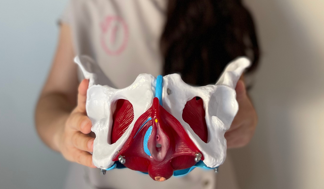 Os Benefícios da Fisioterapia Pélvica Após o Parto
