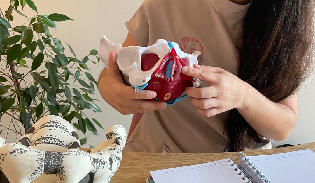 A Importância da Fisioterapia Pélvica na Prevenção de Problemas a Longo Prazo