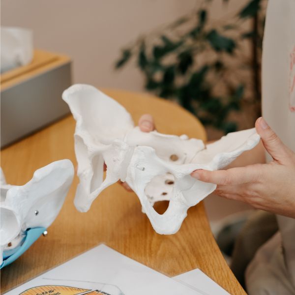 Explicação anatómica da pelve durante consulta de fisioterapia pélvica em Vila Nova de Gaia